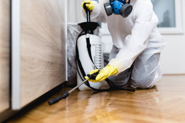 Best Flea Control Services  in Washington, GA