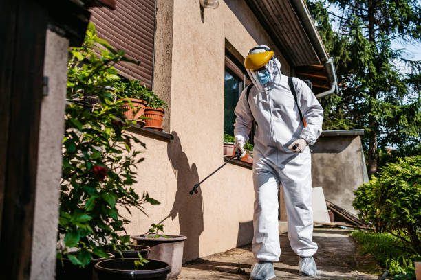Best Pest Removal Services  in Washington, GA