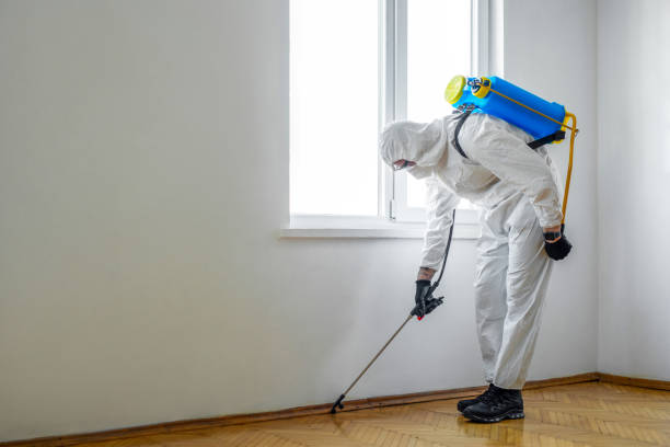 Best Exterminator Services  in Washington, GA