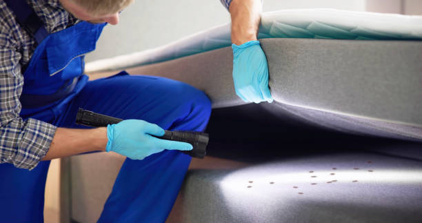 Best Affordable Pest Control Services  in Washington, GA