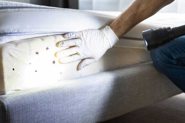 Best Exterminator Services  in Washington, GA