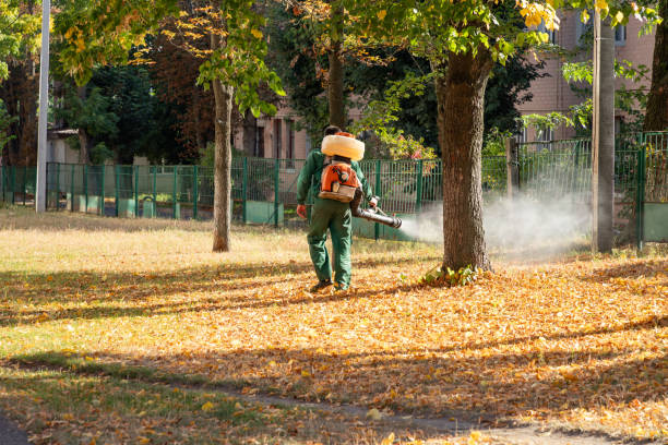 Best Cockroach Control Services  in Washington, GA
