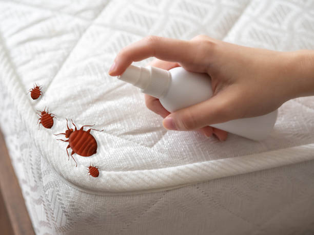 Best Local Pest Control Services  in Washington, GA