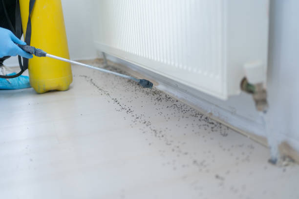 Pest Control for Restaurants in Washington, GA