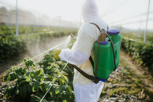 Best Pest Inspection Near Me  in Washington, GA